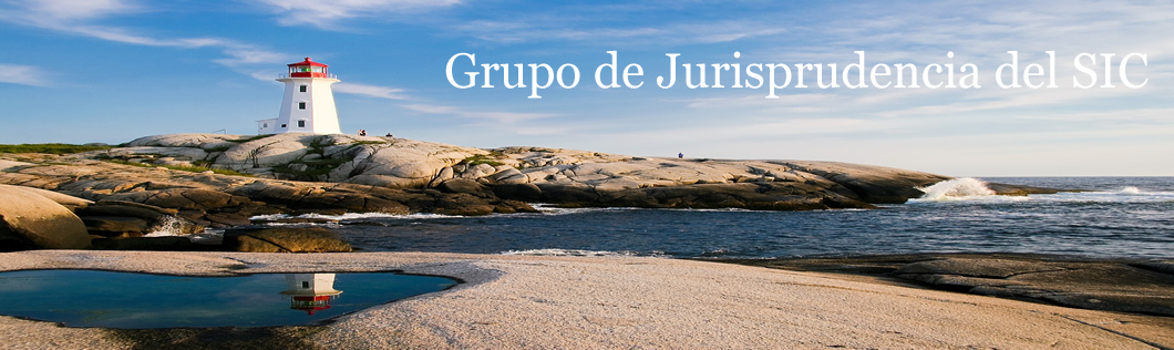 Grupo de Jurisprudencia del SIC